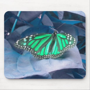 Grönt Monarch Butterfly-musmatta Musmatta