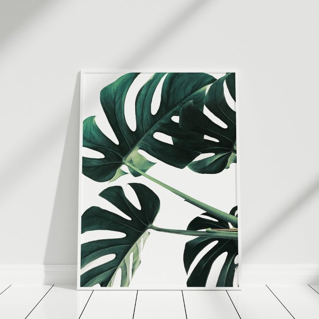 Grönt Monstera Photography Poster (Green Monstera Photography Poster in white frame.)
