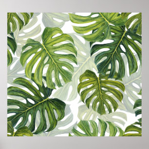Grönt Monstera Tropical Watercolor Poster