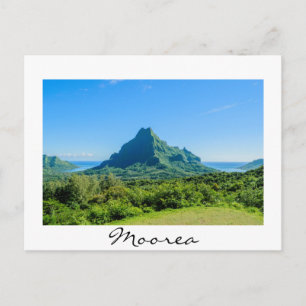 Grönt Morea-vykort Vykort
