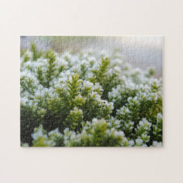 Grönt Moss Bevackra Frosty Autumn Plants Makro Pussel