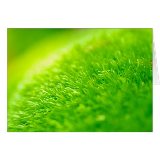 Grönt moss hälsningskort (Framsidan Horizontal)