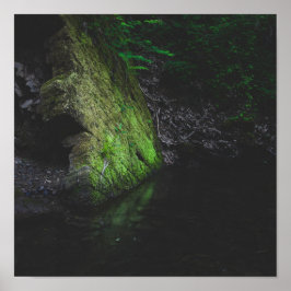 Grönt mossy sten med reflexion i vatten poster
