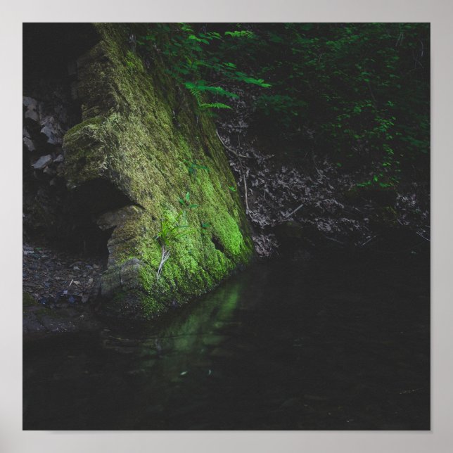 Grönt mossy sten med reflexion i vatten poster (Framsidan)