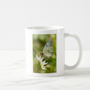 Grönt Moth on False Garlic Apparel and Gifts Kaffemugg