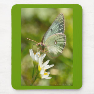 Grönt Moth on False Garlic Apparel and Gifts Musmatta