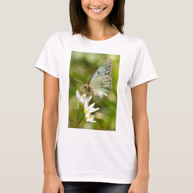 Grönt Moth on False Garlic Apparel and Gifts Tröja (Framsida)