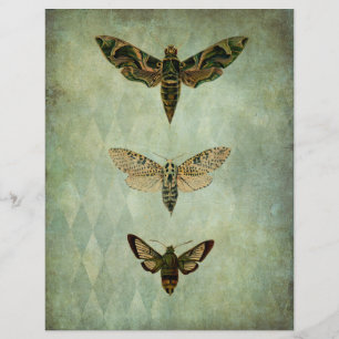 Grönt Moths Vintage Scrapbook Ephemera Stil
