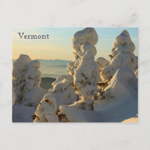 Grönt Mountains Vermont in Winter Vykort