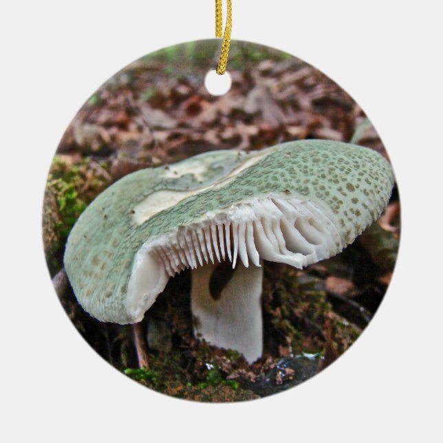 Grönt Mushroom - Russula crusosa Julgransprydnad Keramik (Framsidan)