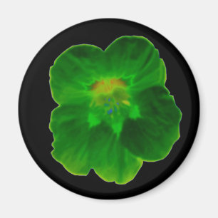 Grönt Nasturtium Magnet