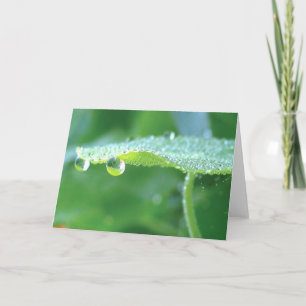 Grönt Nasturtium med dryck, naturkräkning Kort