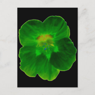 Grönt Nasturtium-vykort Vykort