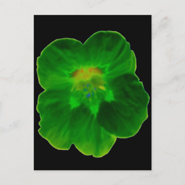 Grönt Nasturtium-vykort Vykort (Framsida)
