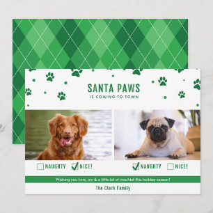 Grönt Naughty eller Nice 2-Hund julfotoport Julkort