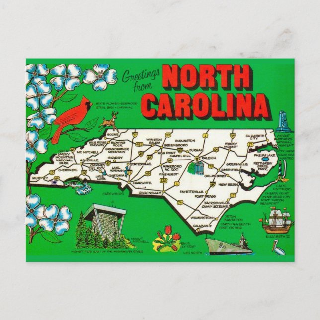 Grönt North Carolina Karta Vykort (Framsida)