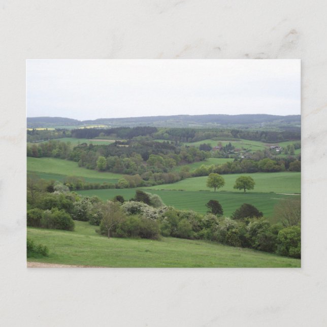 Grönt och arrendebevis vykort (Framsida)