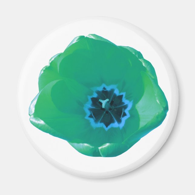 Grönt och blå tulpanmagnet magnet (Framsidan)