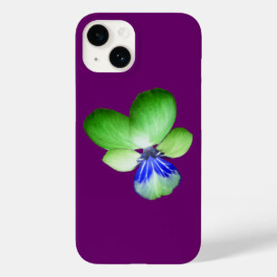 Grönt och Blue Pansy