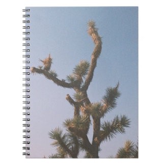 GRÖNT OCH BROTT TRÄD UNDER BLÅ HIMMEL ANTECKNINGSBOK