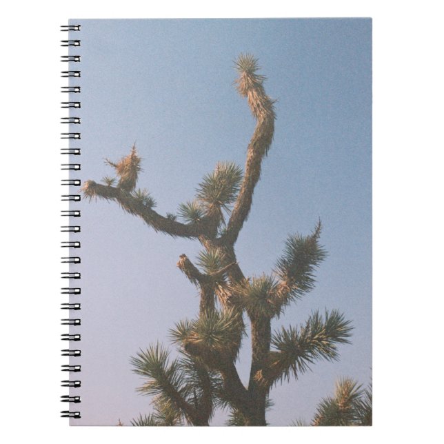 GRÖNT OCH BROTT TRÄD UNDER BLÅ HIMMEL ANTECKNINGSBOK (Framsidan)