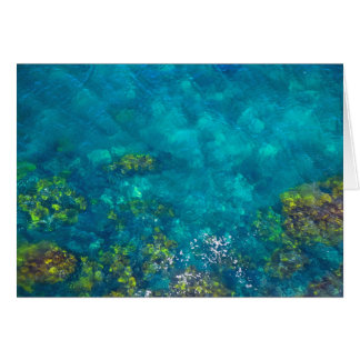 Grönt och brunt i Aquablåtthavet - kort