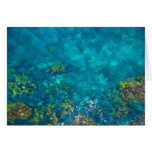 Grönt och brunt i Aquablåtthavet - kort (Framsidan Horizontal)