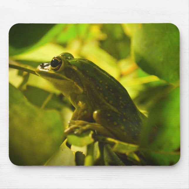 Grönt och Golden Bell Frog Musmatta (Framsidan)