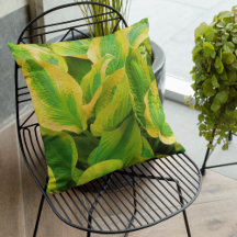 Grönt och Gult Hosta Löv Blommigt