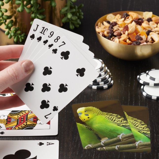 Grönt och Gult Parakeet Photo Casinokort (På plats)