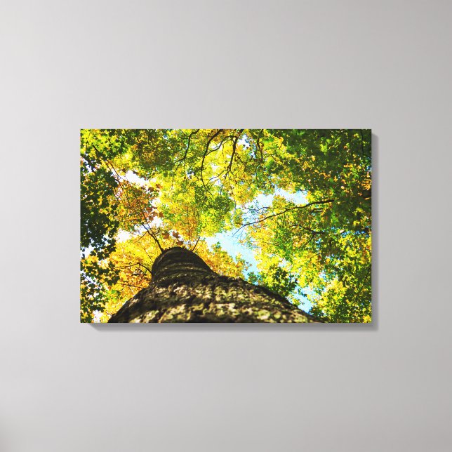 Grönt och Gult Träd Canvastryck (Framsida)