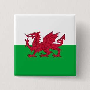 Grönt och Red Flagga of Wales with Dragon Knapp