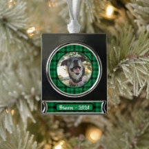 Grönt och svart Hund - foto jul