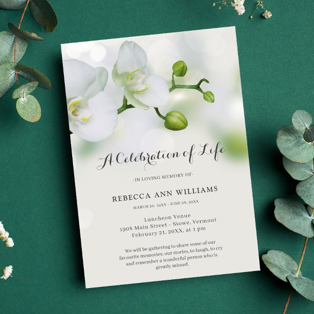 Grönt och vit orkidé Firande of Life Funeral Inbjudningar (Orchid Celebration of Life Invitation)