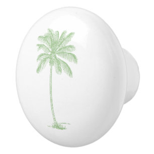 Grönt och Vita Handflatan Palmetto Träd Knopp