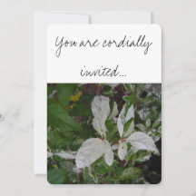 Grönt och vita Löv: Bröllop