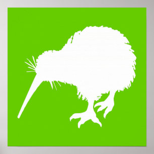 Grönt och White Kiwi Poster