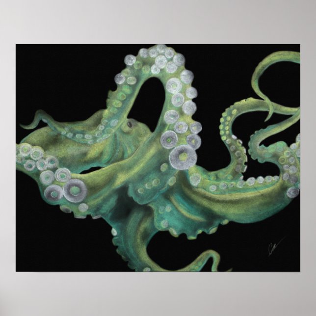 Grönt Octopus 20 x 16 Poster (Framsidan)