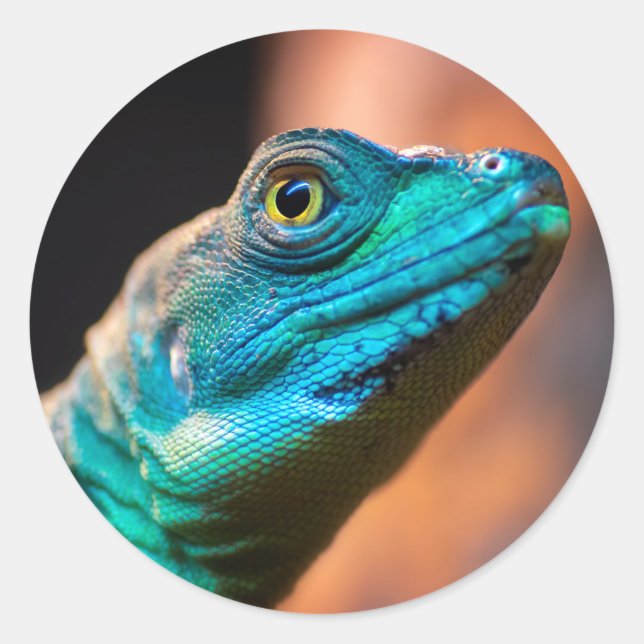 Grönt ödla runt klistermärke (Framsida)