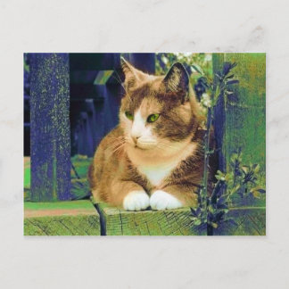 GRÖNT ÖGON POSTCARDS VYKORT