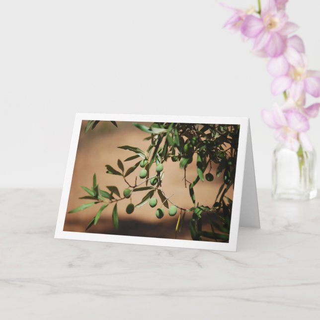 Grönt Olife Hanging från Olive Träd Kort (Orkide)