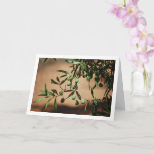 Grönt Olife Hanging från Olive Träd Kort