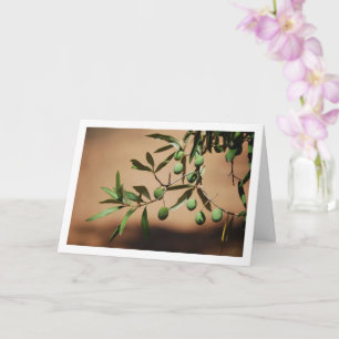 Grönt Olife Hanging från Olive Träd Kort