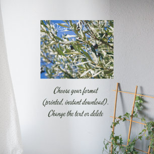 Grönt Olive Träd med svarta frukter Poster