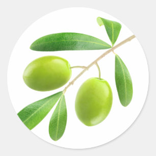 Grönt oliver på gren runt klistermärke