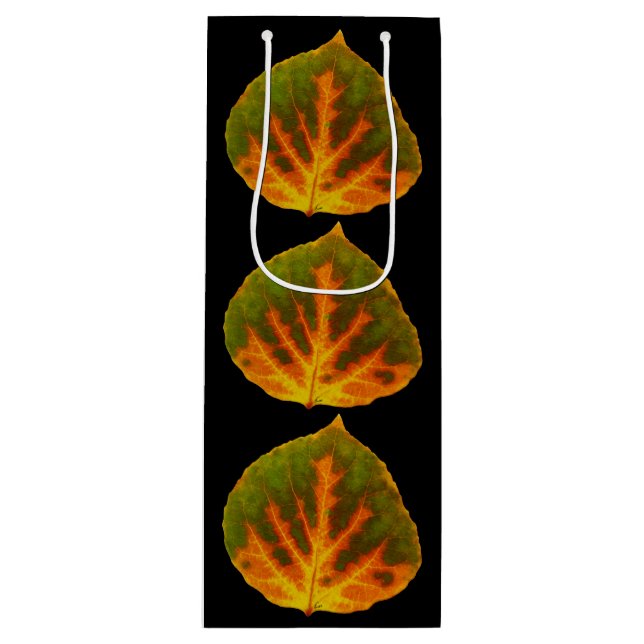 Grönt Orange och Gult Aspen Löv #1 (Framsidan)