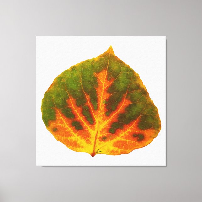 Grönt Orange och Gult Aspen Löv #1 Canvastryck (Framsida)