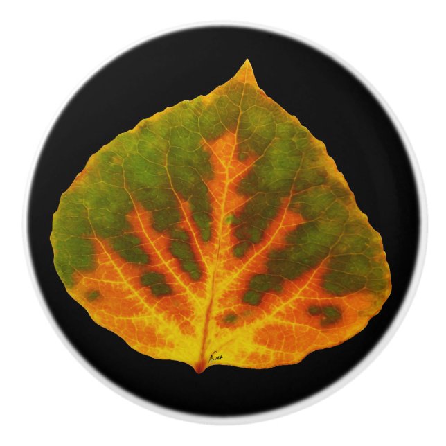 Grönt Orange och Gult Aspen Löv #1 Knopp (Framsidan)