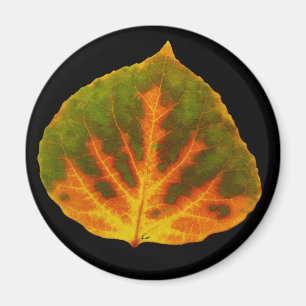 Grönt Orange och Gult Aspen Löv #1 Magnet
