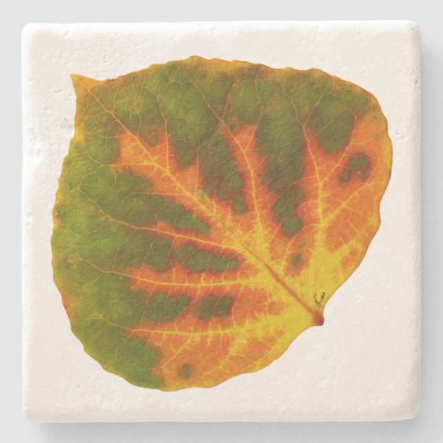 Grönt Orange och Gult Aspen Löv #1 Stenunderlägg (Framsidan)